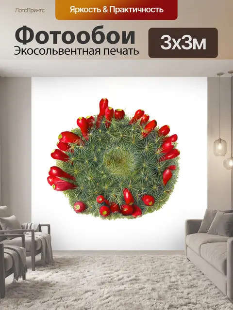Фотообои Кактус винтаж искусство старый