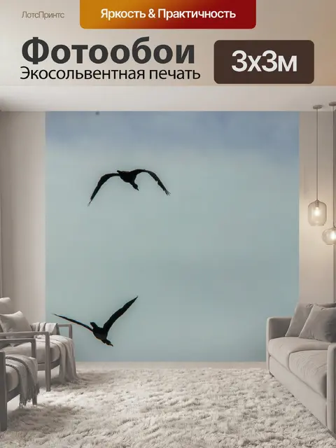 Фотообои Облачно