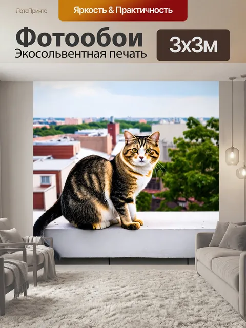 Фотообои коты на крыше города