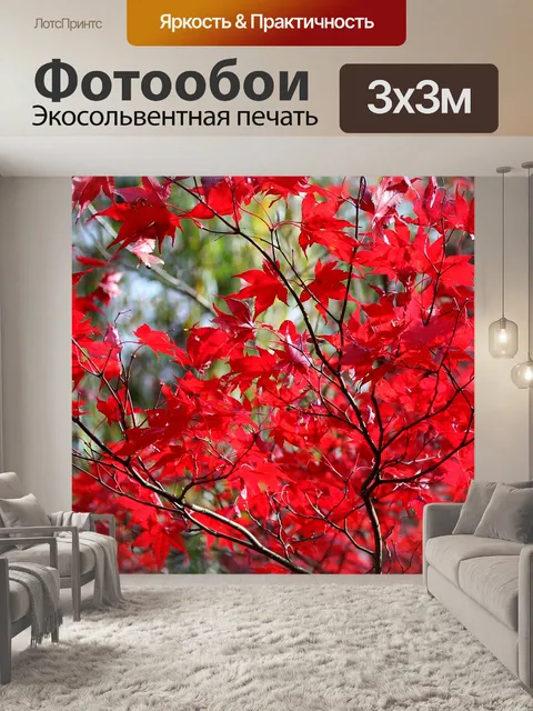 Фотообои Яркие листья красного клена