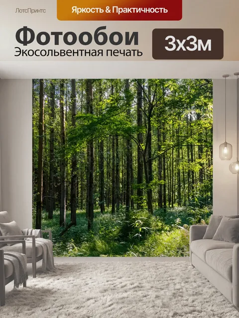 Фотообои Тополиная роща