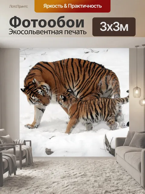 Фотообои Тигрица и куб