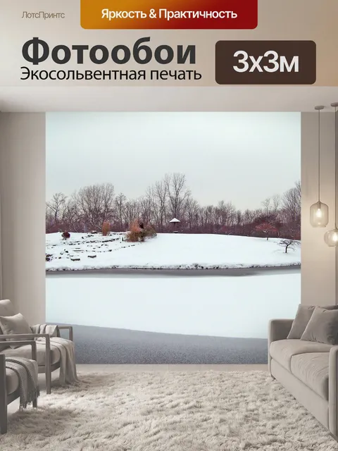 Фотообои Замороженные пруд