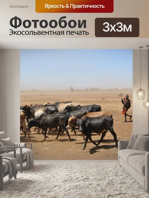 Фотообои Крупный рогатый скот