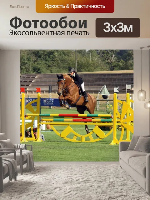 Фотообои Соревнование