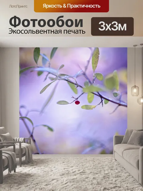 Фотообои Фрукты