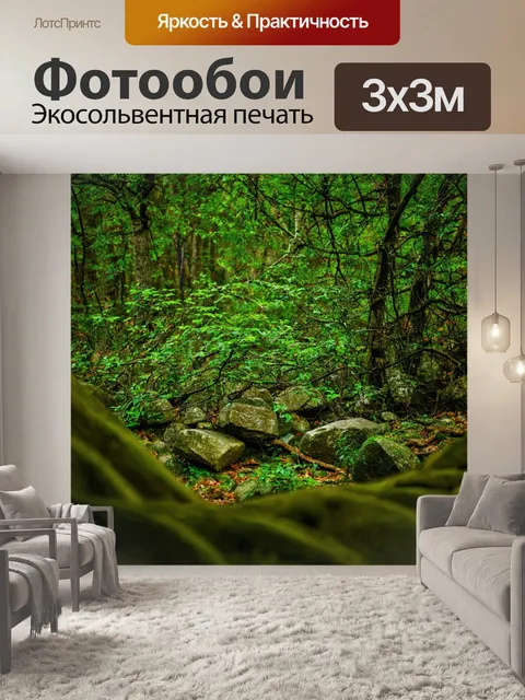 Фотообои лес с островками зелени среди камней и ветвей