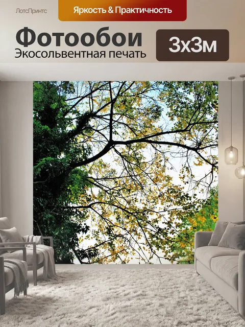 Фотообои Осенью верхушки деревьев из-под