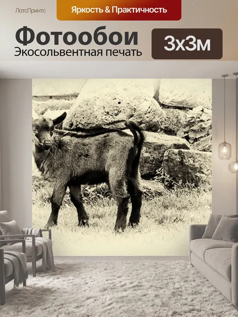 Фотообои Горный козел