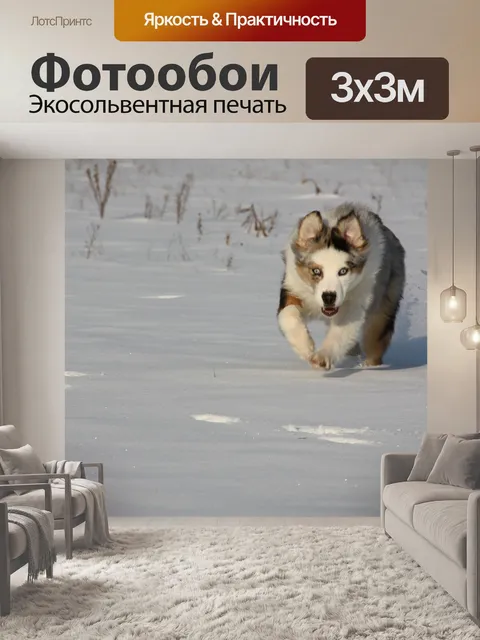 Фотообои В снегу