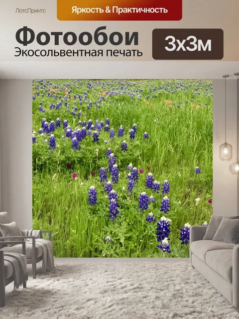Фотообои Поле голубых сетей