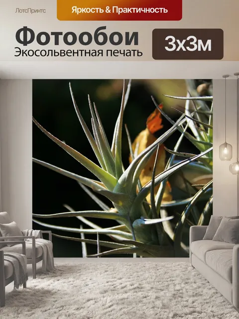 Фотообои Эпифитное растение