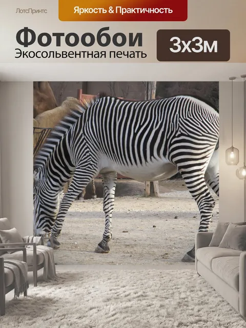Фотообои зебра