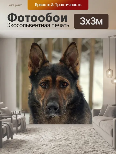 Фотообои Немецкий