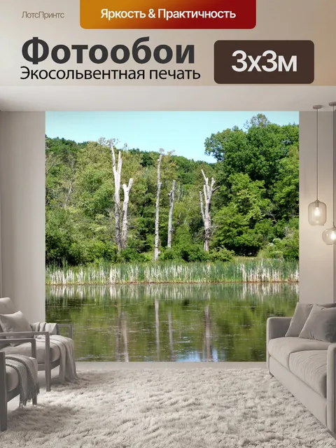 Фотообои Мертвые деревья отражение