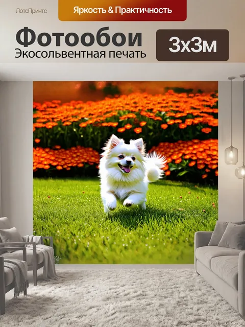 Фотообои на переднем плане изображена белая собака породы померанский шпиц, игриво резвящаяся на зеленом лужайке