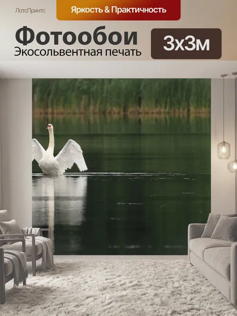 Фотообои Лебедь