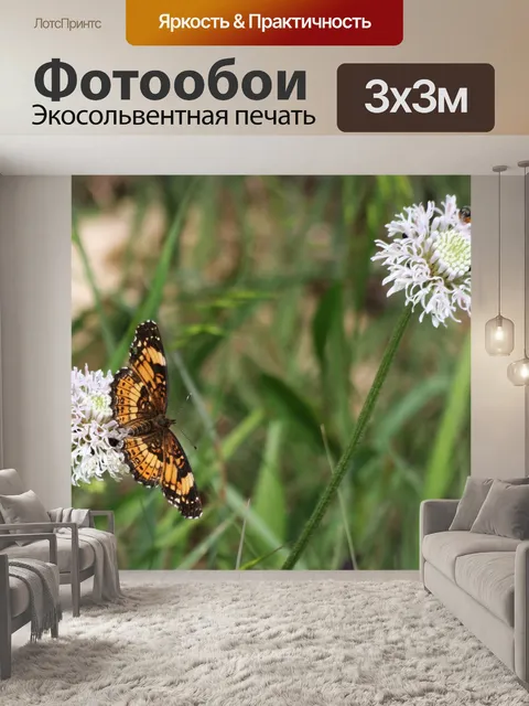 Фотообои Бабочка на полевом цветке Puffball