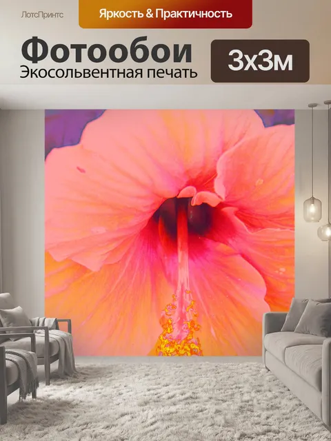 Фотообои оранжевый gumamela