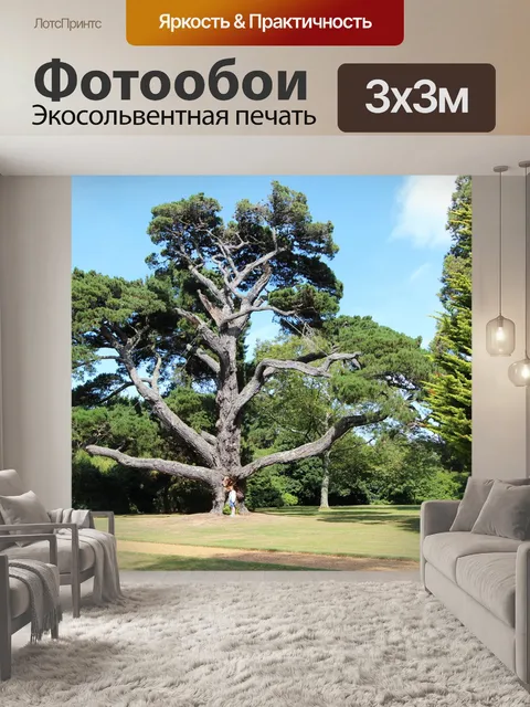 Фотообои Дерево