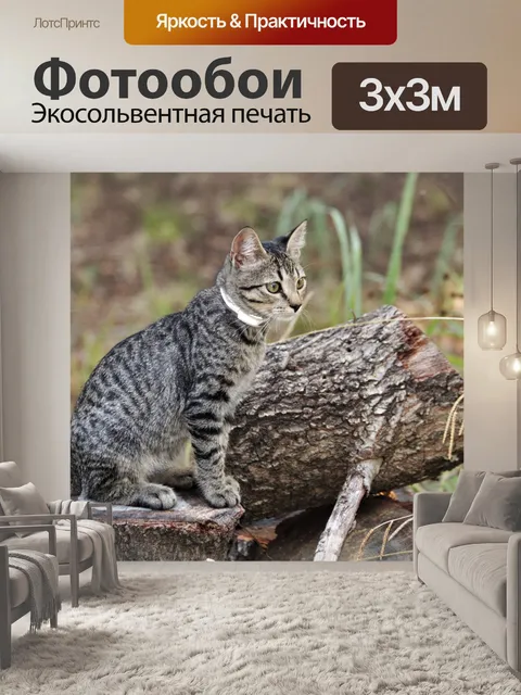Фотообои Серый кот сидит на бревнах