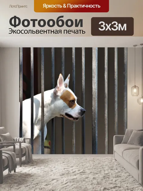 Фотообои Собака смотрит через железные ворота