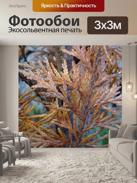 Фотообои Осенние цветы