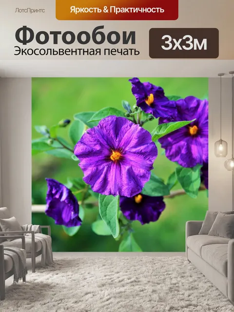 Фотообои яркие фиолетовые цветы