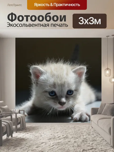 Фотообои Котенок кошка кошка кошка милый маленьки