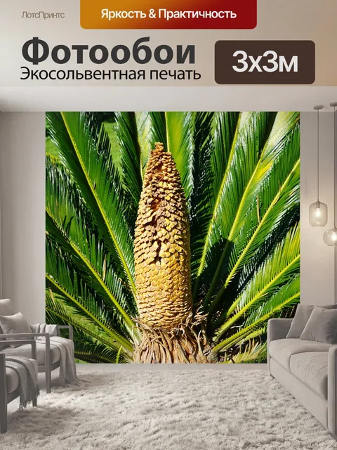 Фотообои Пальма
