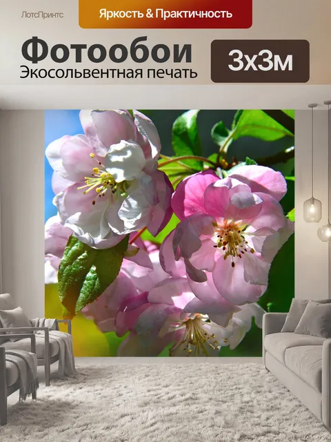 Фотообои Цветок