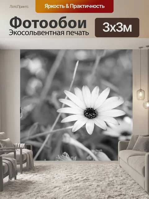 Фотообои маргаритка
