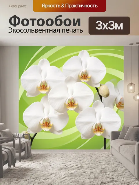 Фотообои Белые орхидеи на зеленом фоне