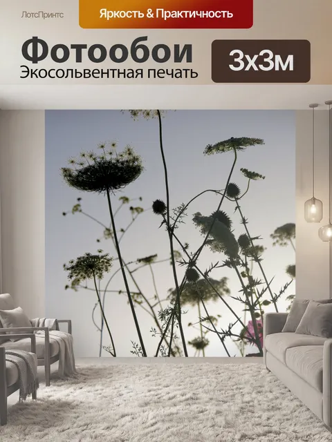 Фотообои Королева Анны кружевные цветы на закате