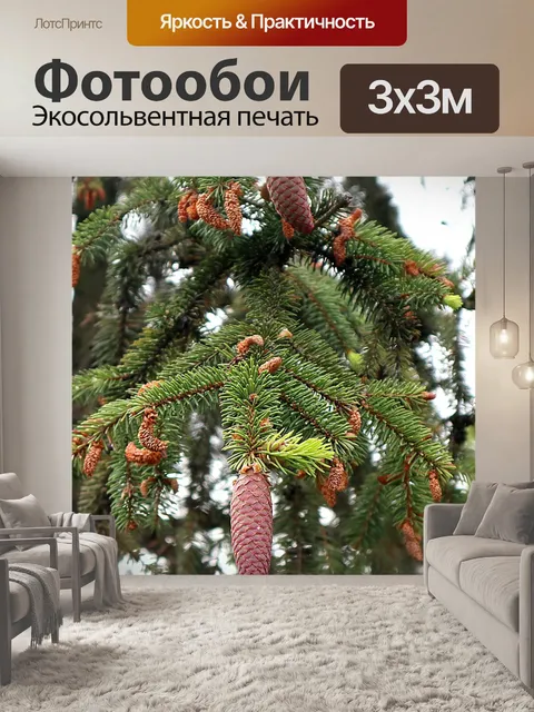 Фотообои Ель