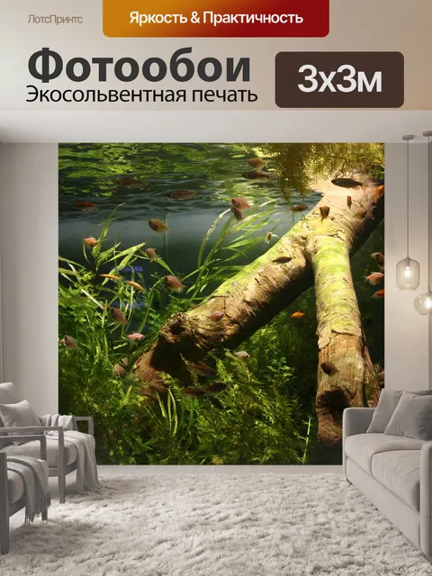 Фотообои Рыба