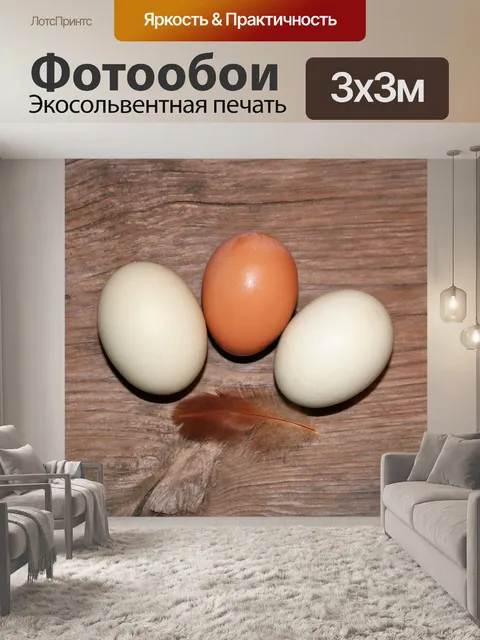Фотообои Три яйца и перо на дереве