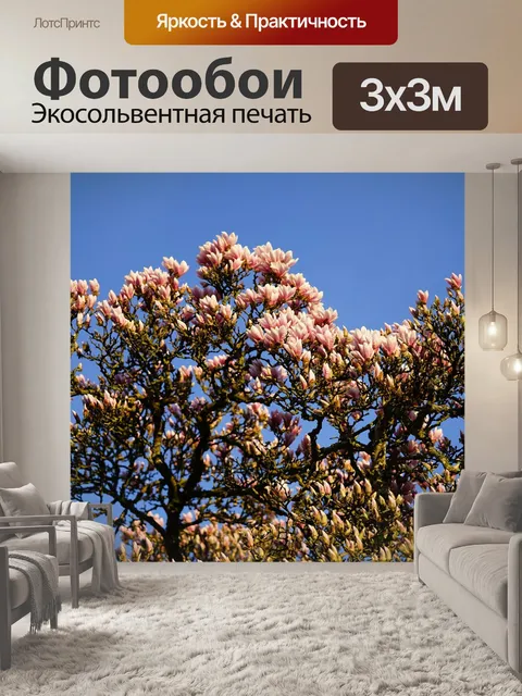 Фотообои Тюльпан магнолия