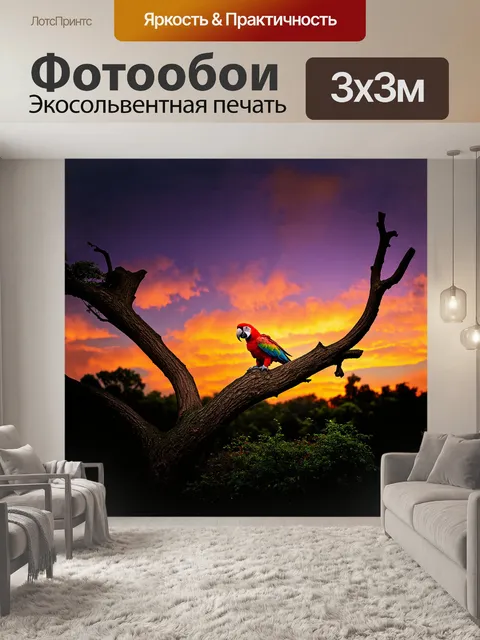 Фотообои попугай сидит на толстом стволе дерева, погруженного в яркий закат