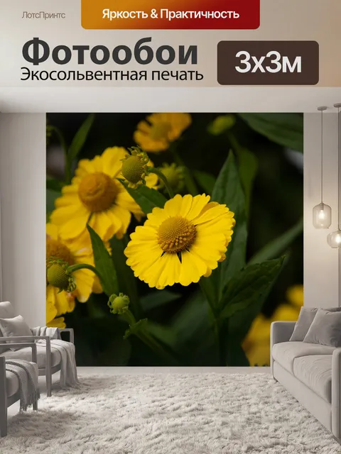 Фотообои Желтый цветок, солнечная трава