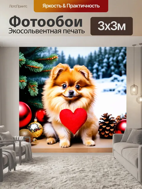 Фотообои Изображение милой собаки породы померанский шпиц