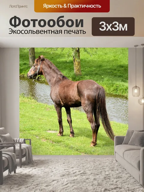 Фотообои Лошади и ферма пони