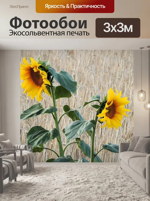 Фотообои Подсолнухи