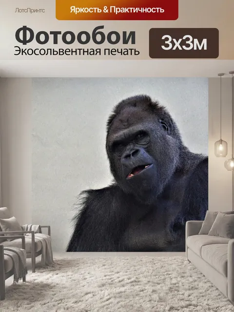 Фотообои Горилла