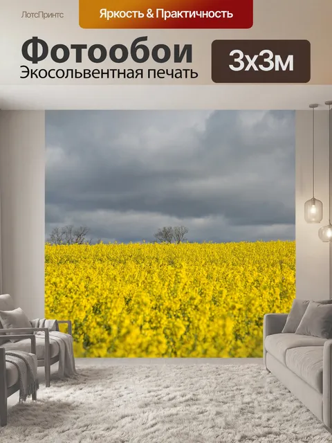 Фотообои Область желтого рапса