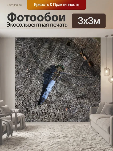 Фотообои Стрекоза