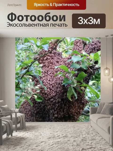 Фотообои Пчелы