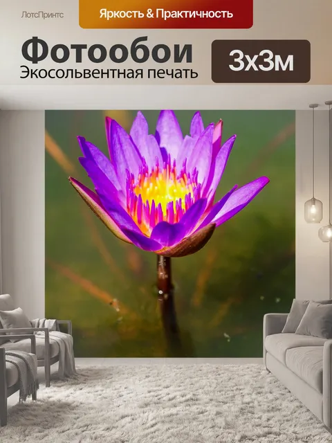 Фотообои цветок лотоса