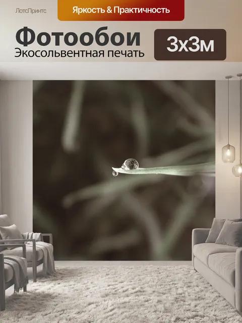 Фотообои Капля воды