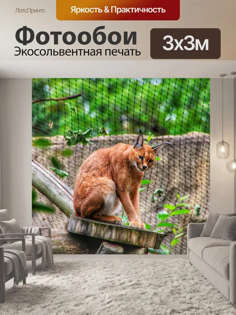 Фотообои Люкс